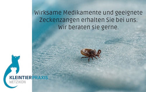 Zecken Beratung 1 Kopie